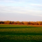Autumn in the air