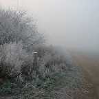 Fog - hoarfrost