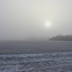Sunrise in fog