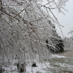 Laden branches