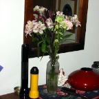 Christmas flowers that kept their beauty.