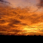 IMG_1083.JPG