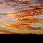 DSC04267.JPG