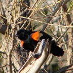 DSC05802.JPG