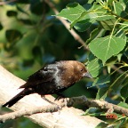 DSC01742.JPG