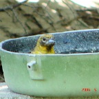 DSC01351.JPG