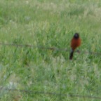 DSC03882.JPG