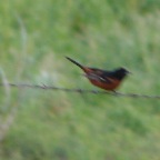 DSC03885.JPG