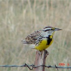 DSC01103.JPG