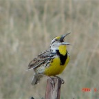 DSC01101.JPG