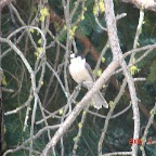 DSC02402.JPG
