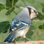 DSC01695.JPG