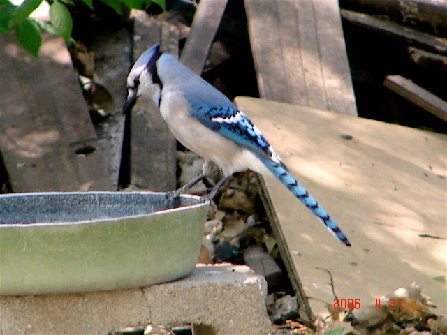 Loading Image