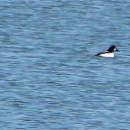 DSC04400.JPG