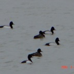DSC00628.JPG