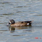 DSC01270.JPG