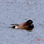 DSC00458.JPG