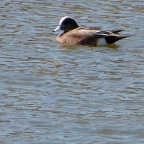 DSC03503.JPG