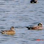 DSC00464.JPG