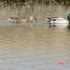 DSC00470.JPG