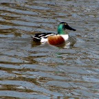 DSC05697.JPG