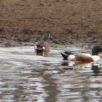 DSC03647.JPG