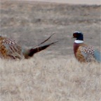 DSC00037.JPG