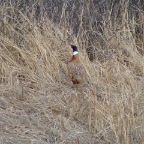 DSC05644.JPG