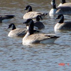 DSC00363.JPG