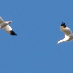 DSC03254.JPG