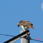 DSC01328.JPG
