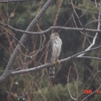 DSC00613.JPG