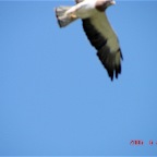 DSC01677.JPG