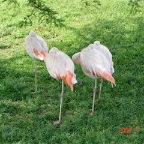 DSC01757.JPG