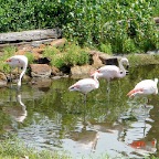 DSC01765.JPG