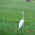 DSC02045.JPG