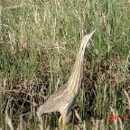 DSC01320.JPG