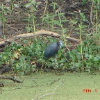 DSC00910.JPG