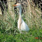 DSC01391.JPG