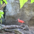 IMG_1303.JPG