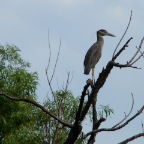 DSC03921.JPG