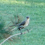 DSC04030.JPG