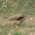 DSC01983.JPG