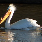 DSC04698.JPG