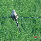 DSC01116.JPG