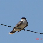 DSC01092.JPG