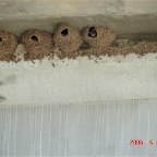 DSC01430.JPG