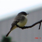 DSC02640.JPG