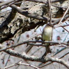 DSC03395.JPG