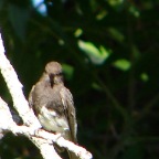 DSC04005.JPG